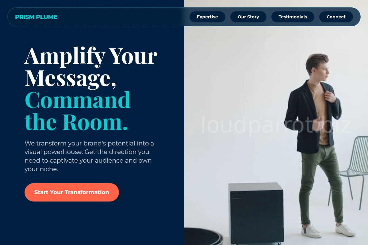 Signal Creative Direction