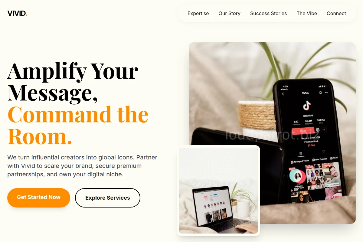 Vivid Influencer Marketing